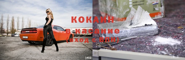 крисы Баксан