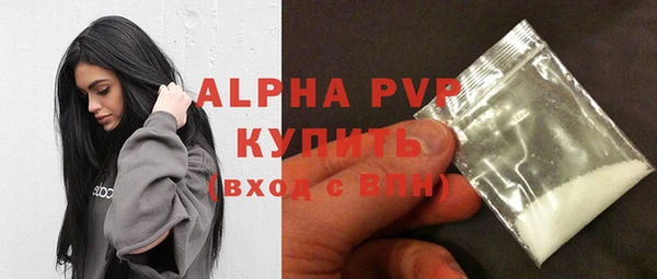 крисы Баксан