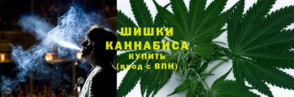 крисы Баксан