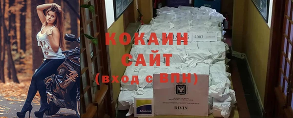 крисы Баксан