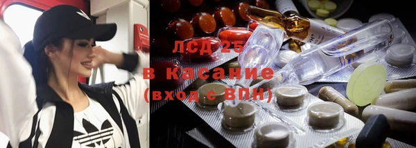 PSILOCYBIN Наволоки